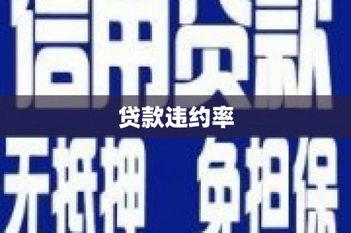 兴庆贷款违约率