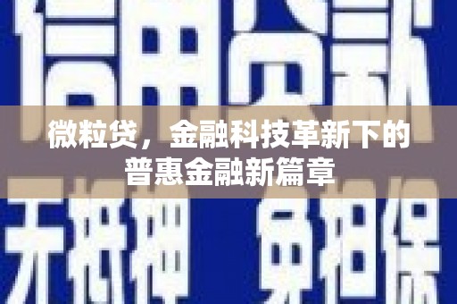 黄南微粒贷，金融科技革新下的普惠金融新篇章