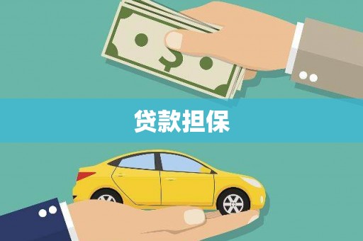 贵德贷款担保