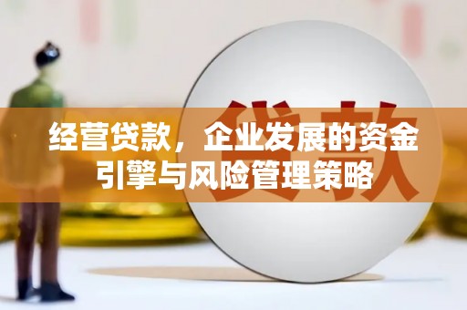 修文经营贷款，企业发展的资金引擎与风险管理策略