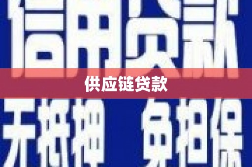 普湾新区供应链贷款
