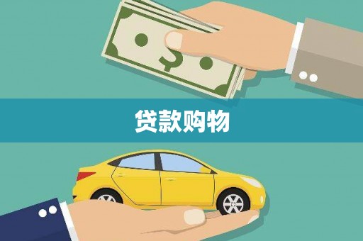 柳东贷款购物