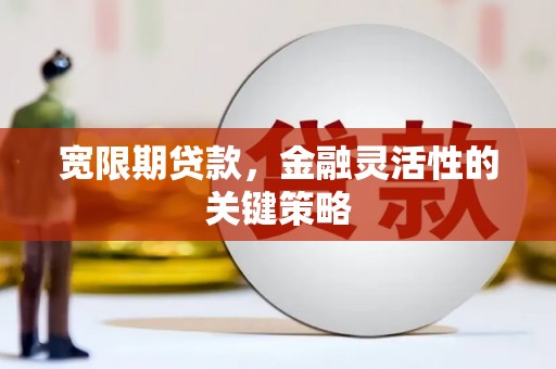 云和宽限期贷款，金融灵活性的关键策略