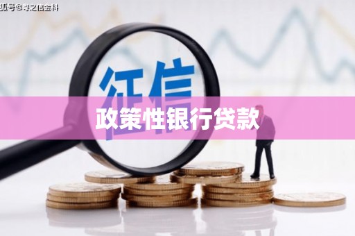 永登政策性银行贷款