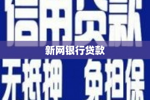 中正新网银行贷款