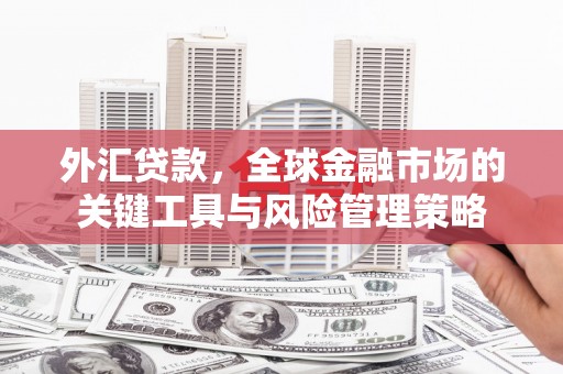 东源外汇贷款，全球金融市场的关键工具与风险管理策略