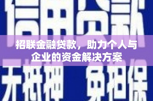 甘洛招联金融贷款，助力个人与企业的资金解决方案