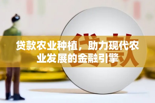 弥陀贷款农业种植，助力现代农业发展的金融引擎