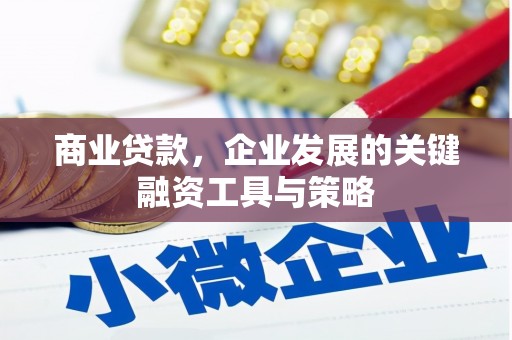 永新商业贷款，企业发展的关键融资工具与策略