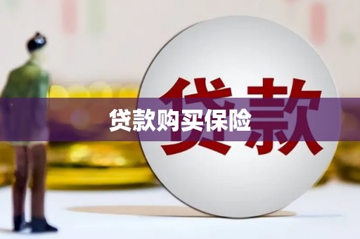 将军贷款购买保险