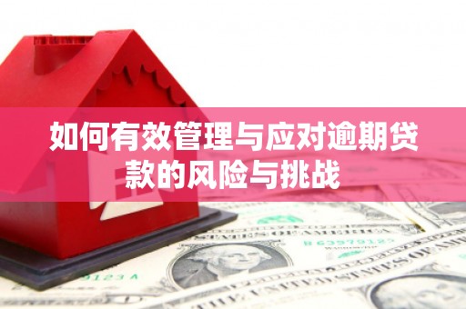 宣化如何有效管理与应对逾期贷款的风险与挑战
