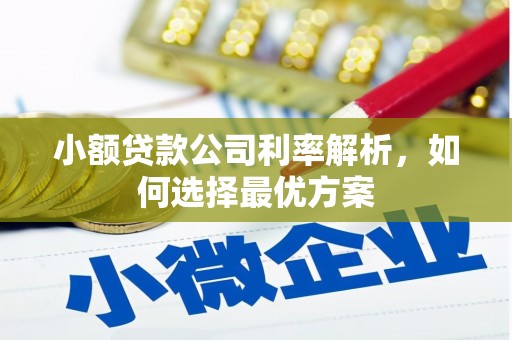 青白江小额贷款公司利率解析，如何选择最优方案