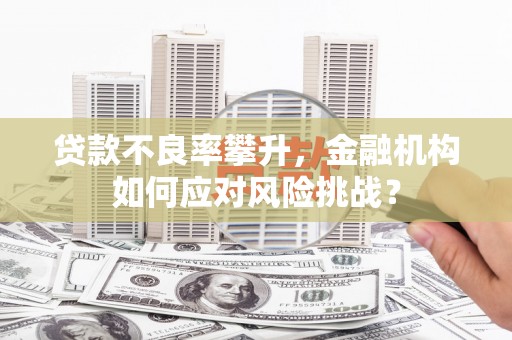 额济纳旗贷款不良率攀升，金融机构如何应对风险挑战？