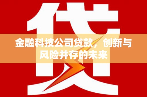 碌曲金融科技公司贷款，创新与风险并存的未来