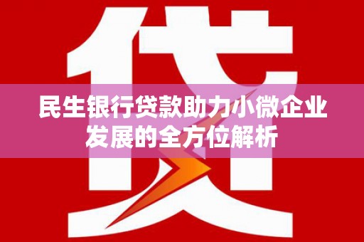 连山民生银行贷款助力小微企业发展的全方位解析