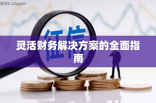 禹城灵活财务解决方案的全面指南
