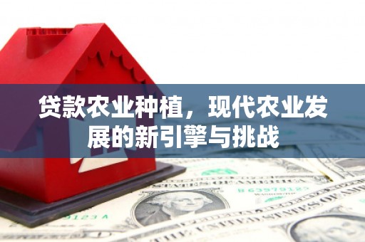 海盐贷款农业种植，现代农业发展的新引擎与挑战
