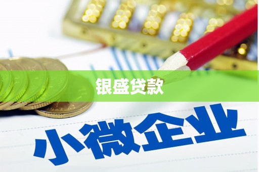 潍城银盛贷款