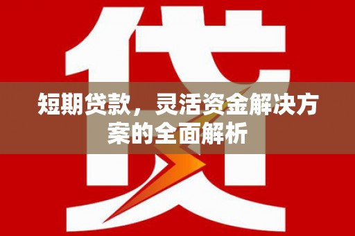 大庆短期贷款，灵活资金解决方案的全面解析