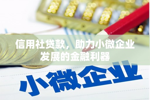 霍尔果斯信用社贷款，助力小微企业发展的金融利器