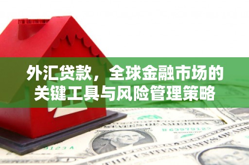 建宁外汇贷款，全球金融市场的关键工具与风险管理策略