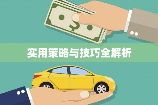 昭平实用策略与技巧全解析