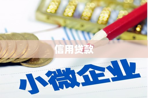 浦东信用贷款