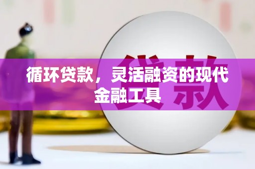 曹妃甸循环贷款，灵活融资的现代金融工具
