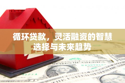 左云循环贷款，灵活融资的智慧选择与未来趋势