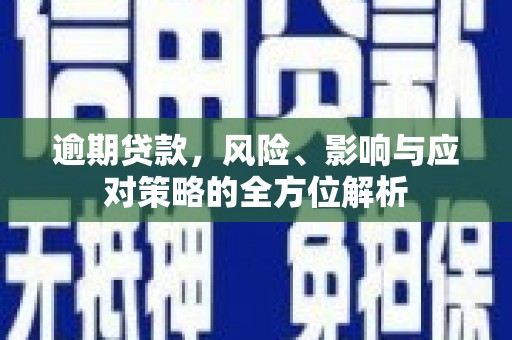 资兴逾期贷款，风险、影响与应对策略的全方位解析