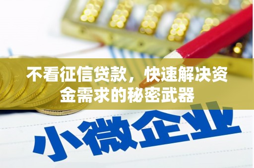 盐源不看征信贷款，快速解决资金需求的秘密武器