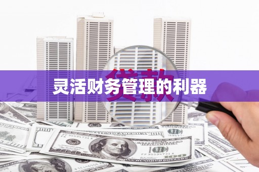 秀山灵活财务管理的利器