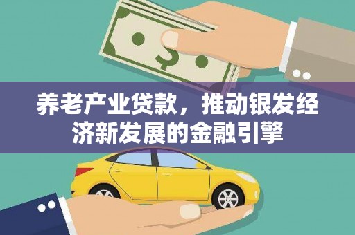 红寺堡养老产业贷款，推动银发经济新发展的金融引擎
