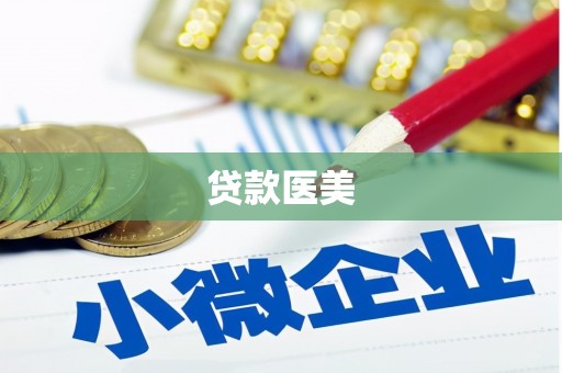 新蔡贷款医美