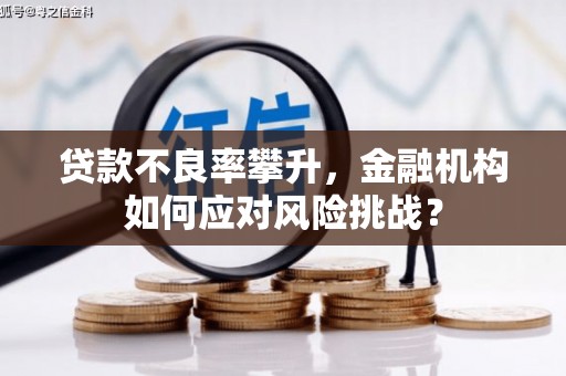 铜仁贷款不良率攀升，金融机构如何应对风险挑战？