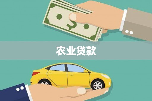 汉阳农业贷款