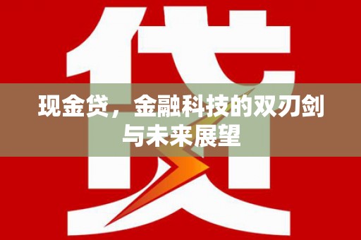 普湾新区现金贷，金融科技的双刃剑与未来展望