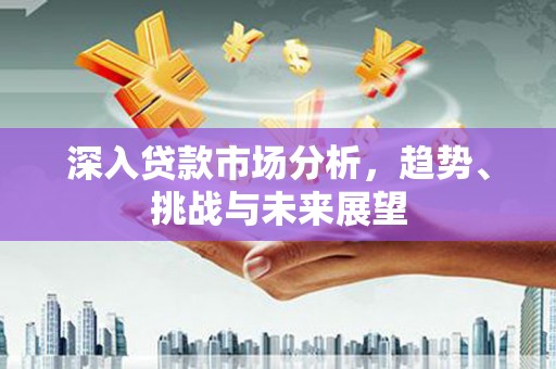 贵定深入贷款市场分析，趋势、挑战与未来展望
