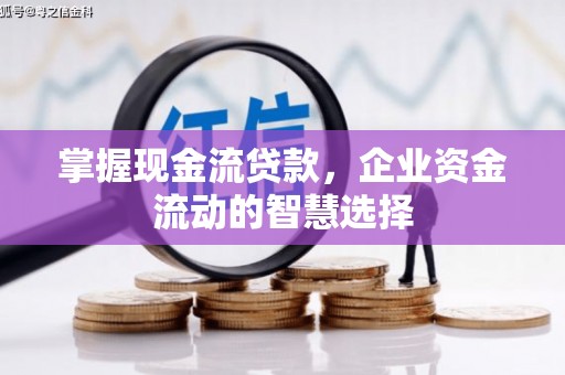 晋江掌握现金流贷款，企业资金流动的智慧选择