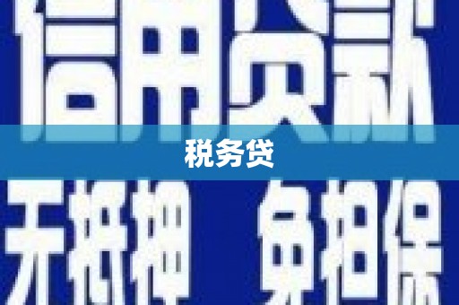 衡阳税务贷