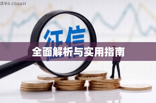 从江全面解析与实用指南