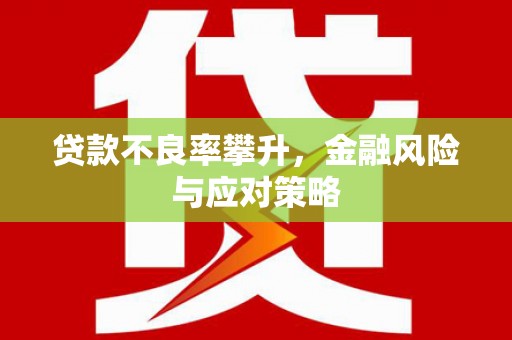 苏尼特右旗贷款不良率攀升，金融风险与应对策略