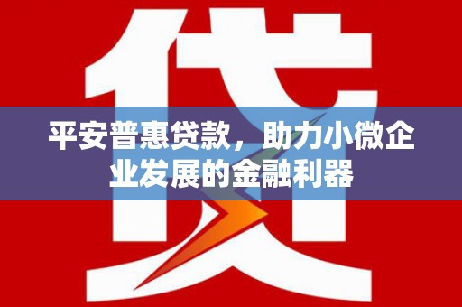 蓬溪平安普惠贷款，助力小微企业发展的金融利器