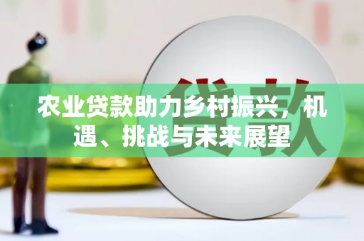 永靖农业贷款助力乡村振兴，机遇、挑战与未来展望