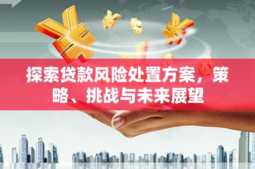 佛坪探索贷款风险处置方案，策略、挑战与未来展望
