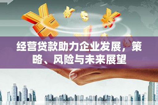 沈丘经营贷款助力企业发展，策略、风险与未来展望