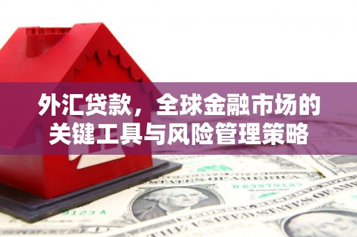 玛沁外汇贷款，全球金融市场的关键工具与风险管理策略