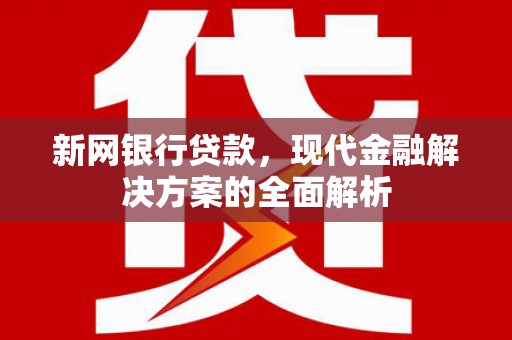 水林新网银行贷款，现代金融解决方案的全面解析
