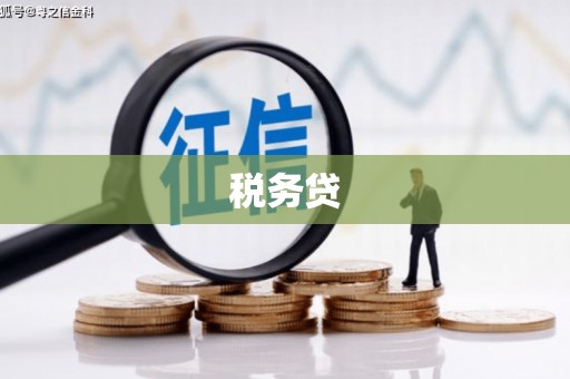 新港税务贷