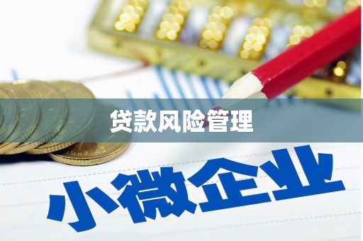察隅贷款风险管理